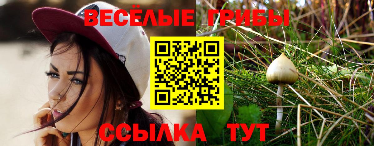 Ижевск  Галлюциногенные грибы прущие грибы  Галлюциногенные грибы ЛСД  Вход с VPN 